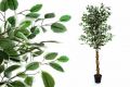 Drzewko sztuczne dekoracyjne Fikus 150 cm