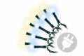 Świąteczny świetlny łańcuch - 3,9 m, 40 diod LED, 9 funkcji
