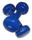 Hantle 2 x 1 kg niebieskie