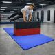 Mata gimnastyczna 210x110x2 cm, XXL, niebieska
