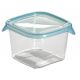 Plastikowy pojemnik FRESH & GO 0,45 l CURVER